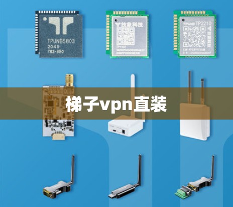 梯子vpn直装