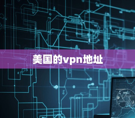 美国的vpn地址