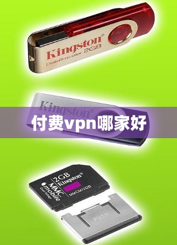 付费vpn哪家好