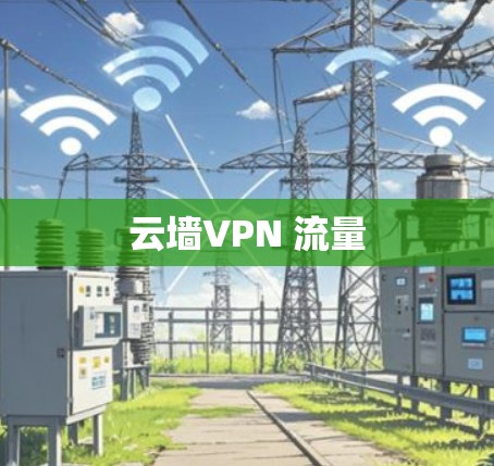云墙VPN 流量
