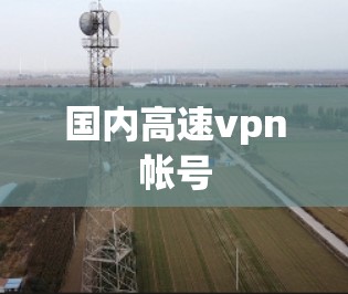 国内高速vpn帐号