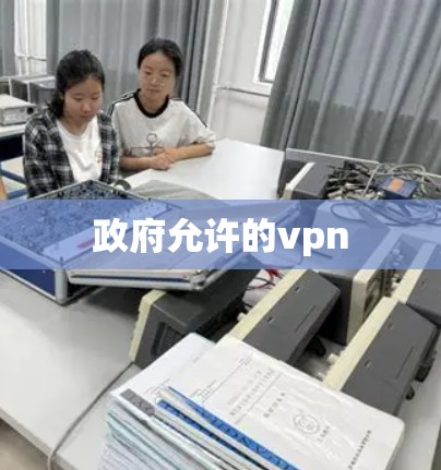 政府允许的vpn