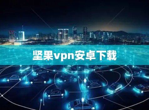 坚果vpn安卓下载
